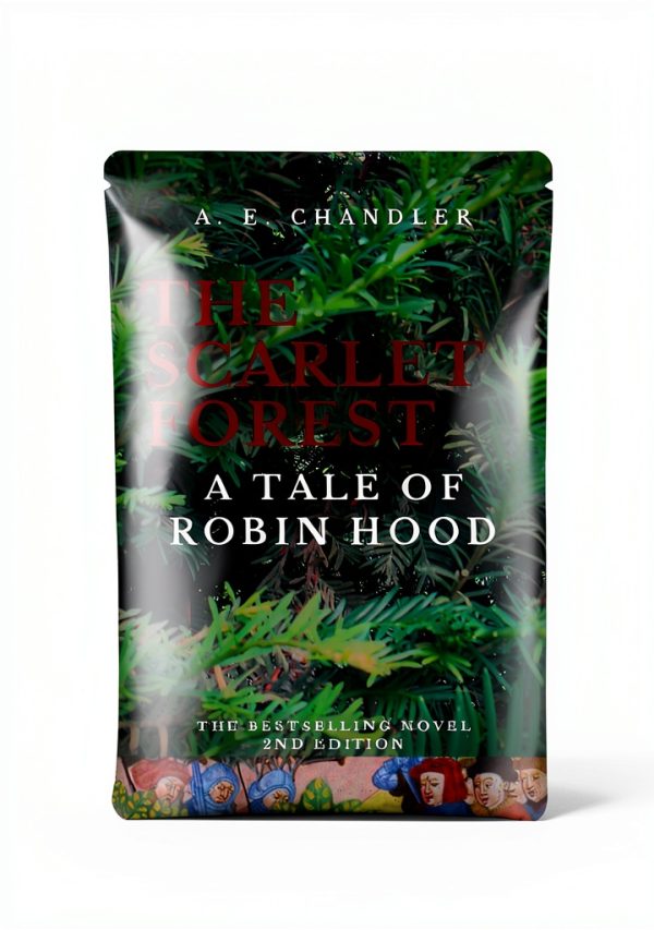 Childrens Medieval Fiction Book English Edition Kindle-0